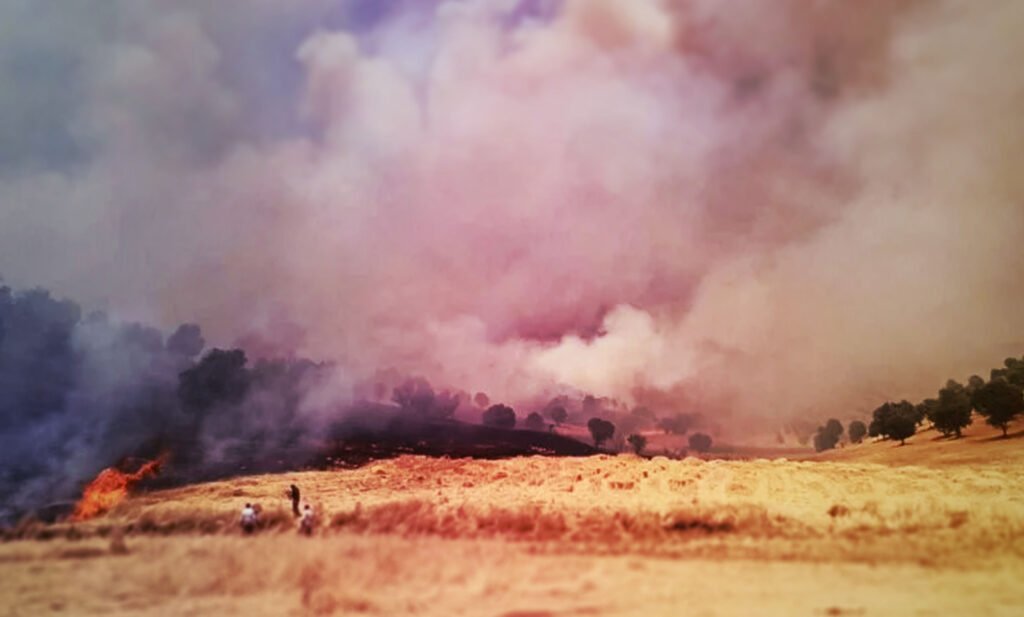 Zed Press news زێدپرێس هه‌واڵ بەڕێوەبەرایەتی پۆلیسی دارستان و ژینگەی سلێمانی، ڕای دەگەیەنێت، لە ئەنجامی ئاگرکەوتنەوەیەک لە سنووری شارەدێی گەرمک، زیاتر لە هەزار دۆنم پاوان و دارستانی سروشتی سووتاون. زیاتر لە هەزار دۆنم پاوان و دارستان سووتان